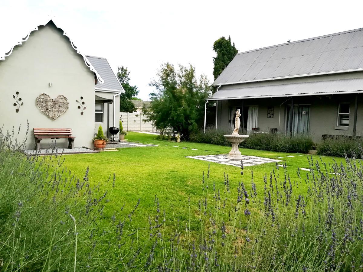 Tranquil House B&B @ 1 College Ave Queenstown Bagian luar foto