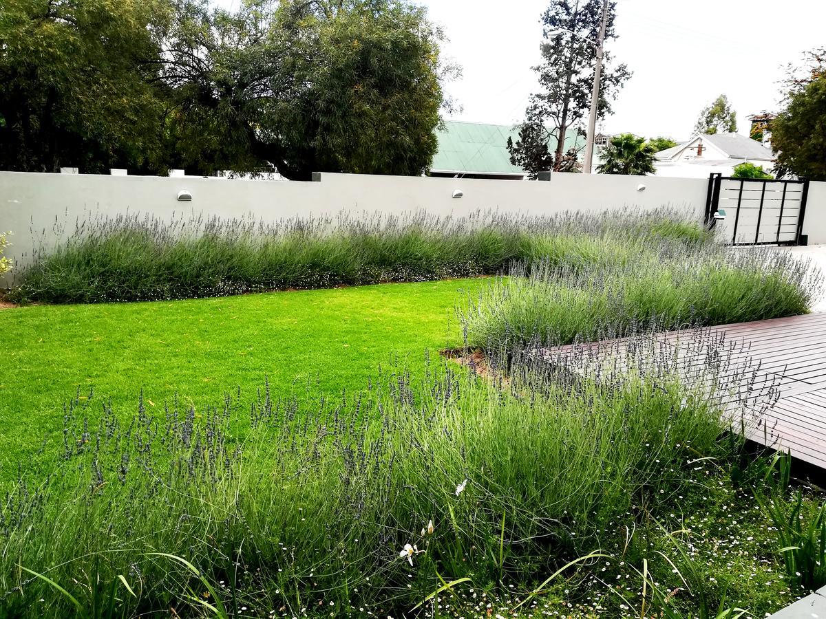 Tranquil House B&B @ 1 College Ave Queenstown Bagian luar foto